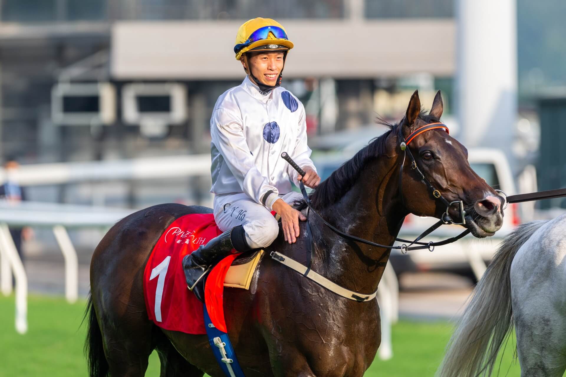 ゴールデンシックスティ、引退後はノーザンホースパークへ