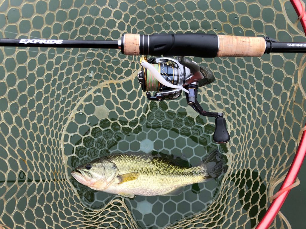 エクスプライド263L-Sインプレ。「ダルくないソリッドティップ」は正義