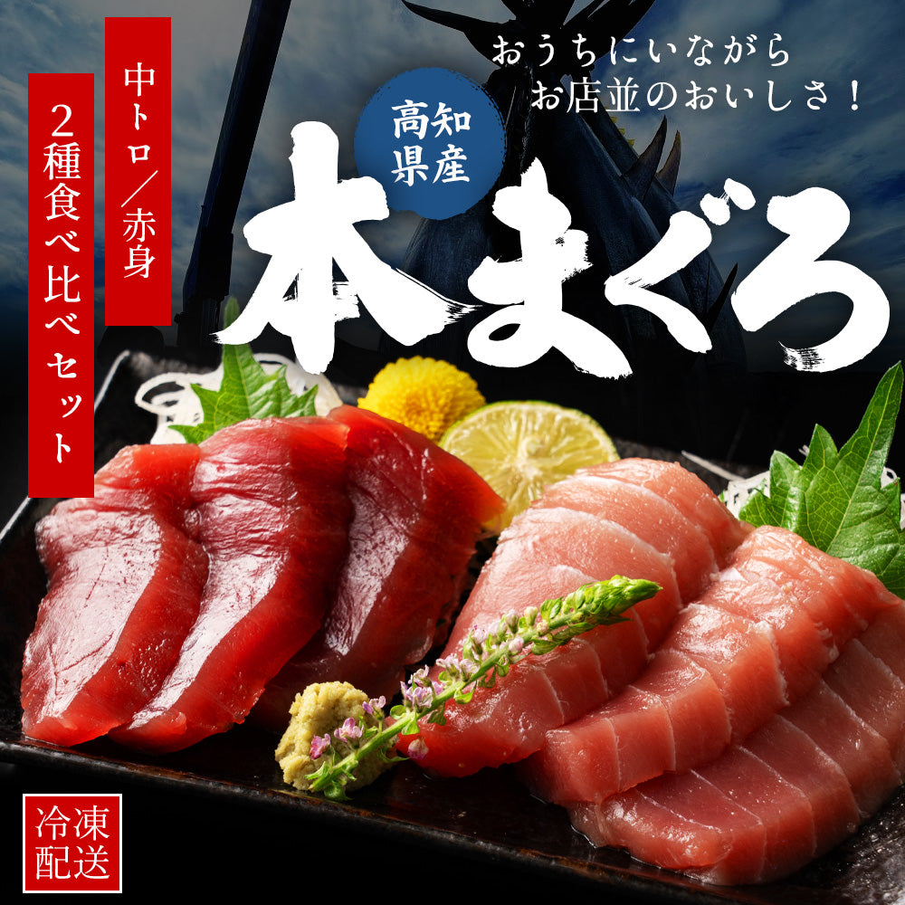 高知県産 一極 本まぐろ 中トロ 赤身 食べ比べセット – 池澤鮮魚