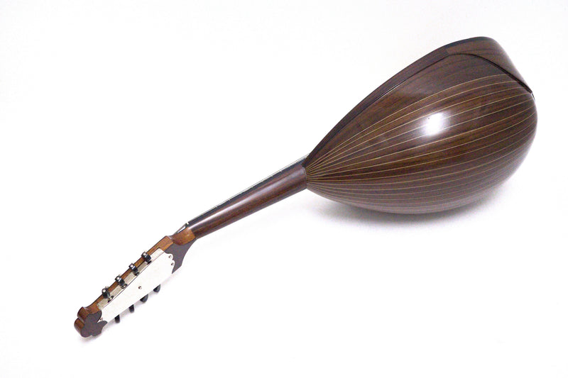 カラーチェマンドラNo.15 | イケガク