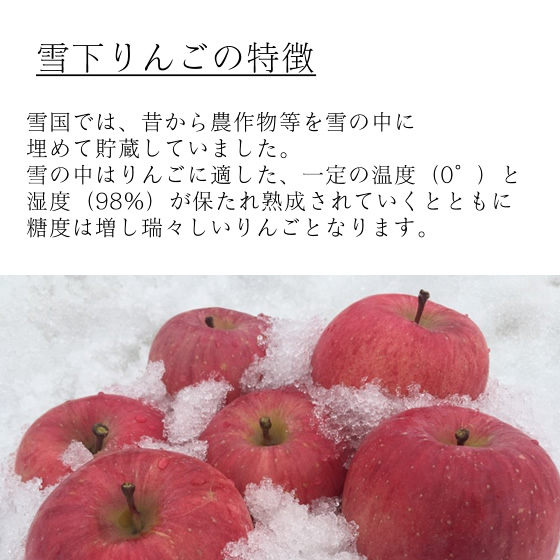 秀品】 青森県産 雪下りんご 約5kg: JAてんどうフーズ|【JAタウン