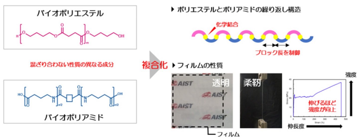 産総研がバイオマス由来の2種のプラスチックから透明なフィルムの新