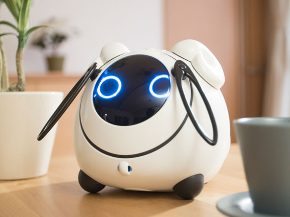 クラウド頭脳”の賢いおしゃべりロボット「オハナス」誕生 タカラトミー