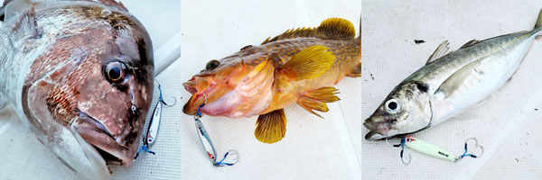 ボーズレス TG KEIJI(ケイジ) 旧名MUSASHI(ムサシ) | ルアーバンク公式