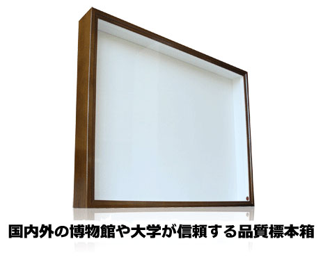 ドイツ型標本箱 （バードウイング製） | モンスター