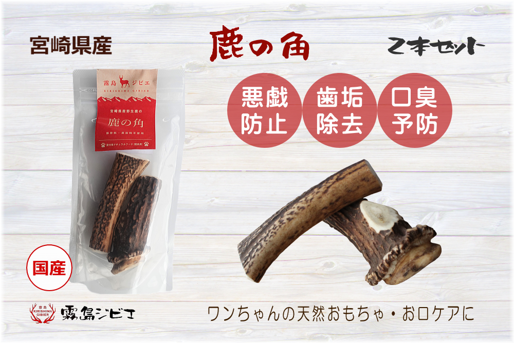 鹿の角 2本入り | 霧島ジビエ＜公式＞