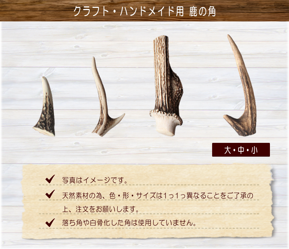 九州鹿の角 中 クラフト・ハンドメイド用 | 霧島ジビエ＜公式＞