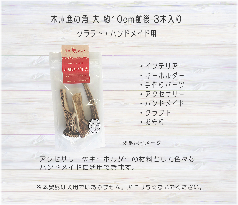 九州鹿の角 中 クラフト・ハンドメイド用 | 霧島ジビエ＜公式＞