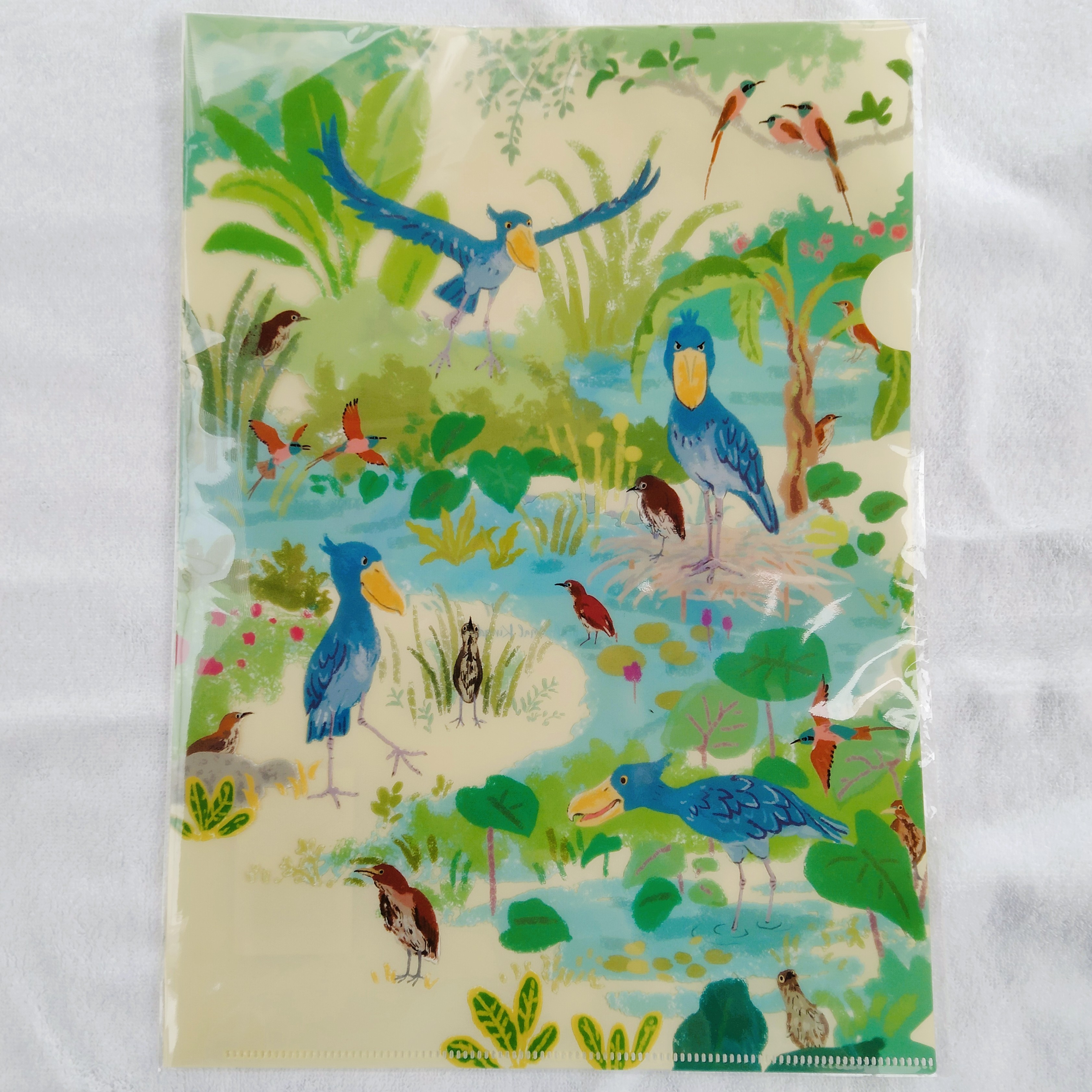 A4クリアファイル ハシビロコウの生態園 Big bill ハシビロコウ