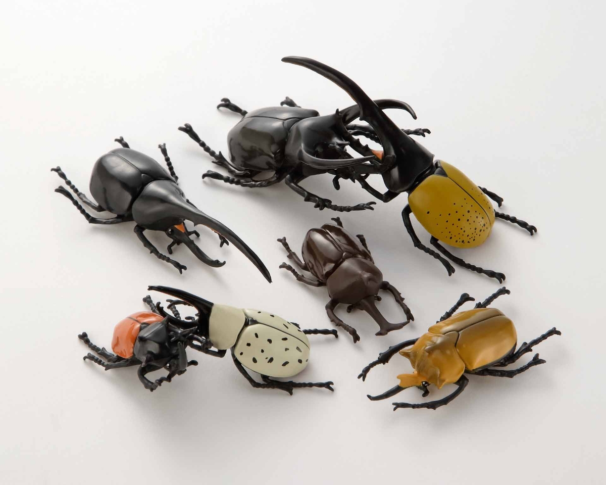 NEW立体甲虫図鑑 世界のカブトムシ・クワガタムシ | 生物園オンライン