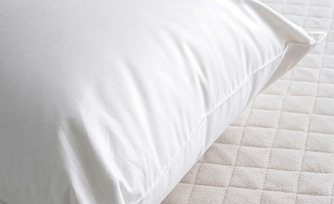 西川の羽毛枕 ホワイトダウン85％ 0.3kg 西川 西川株式会社 ダウン