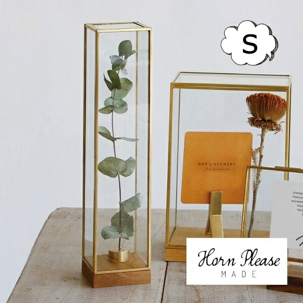 フランス ベルギー ガラスドーム 展示ケース アンティーク 古道具 木