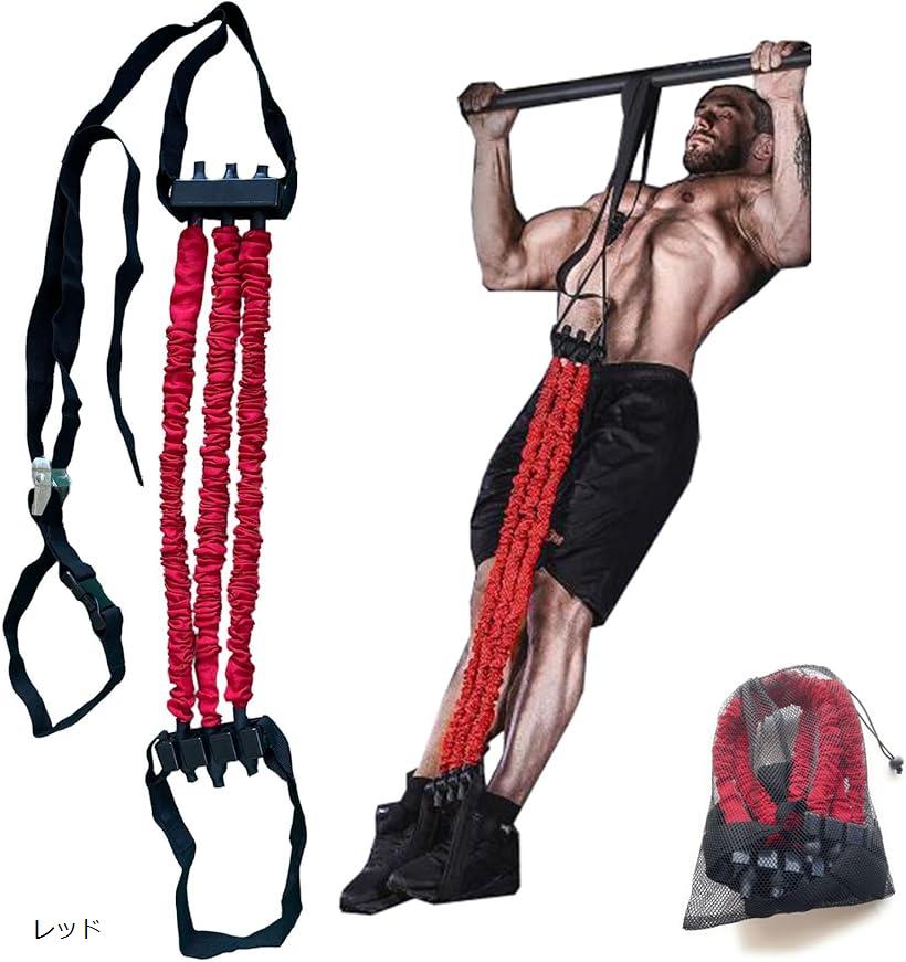 楽天市場】【楽天ランキング1位入賞】懸垂 アシスト チューブ 懸垂補助