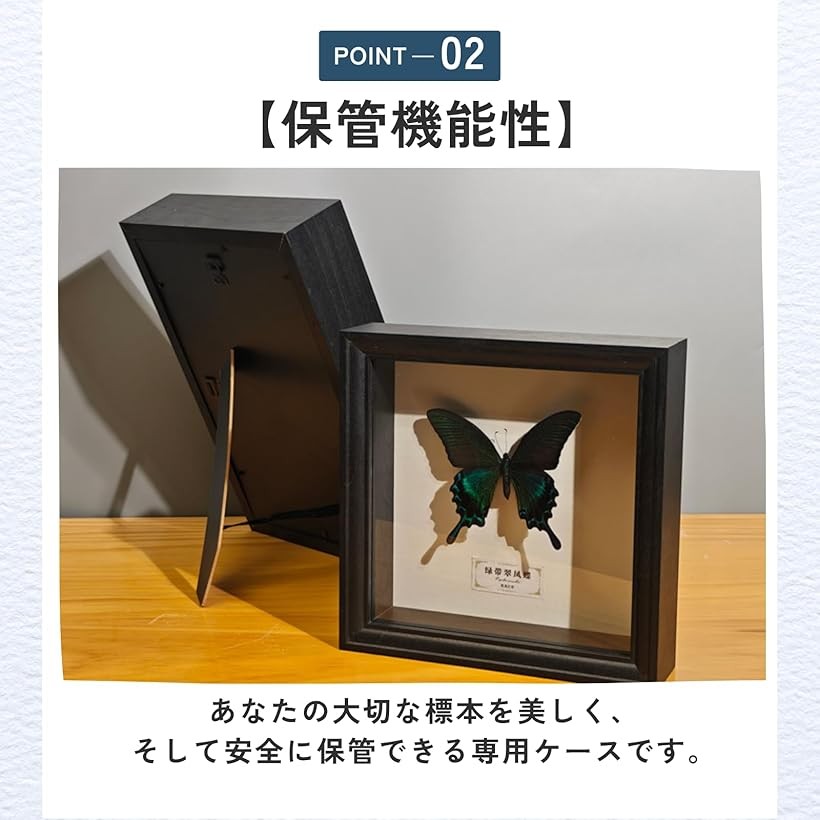 楽天市場】標本箱 昆虫 シーラケース 透明標本 小型 木製 蝶々