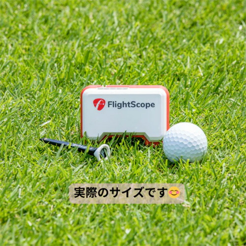 楽天市場】【4日20時開始!最大9,000円引きクーポン！】フライト