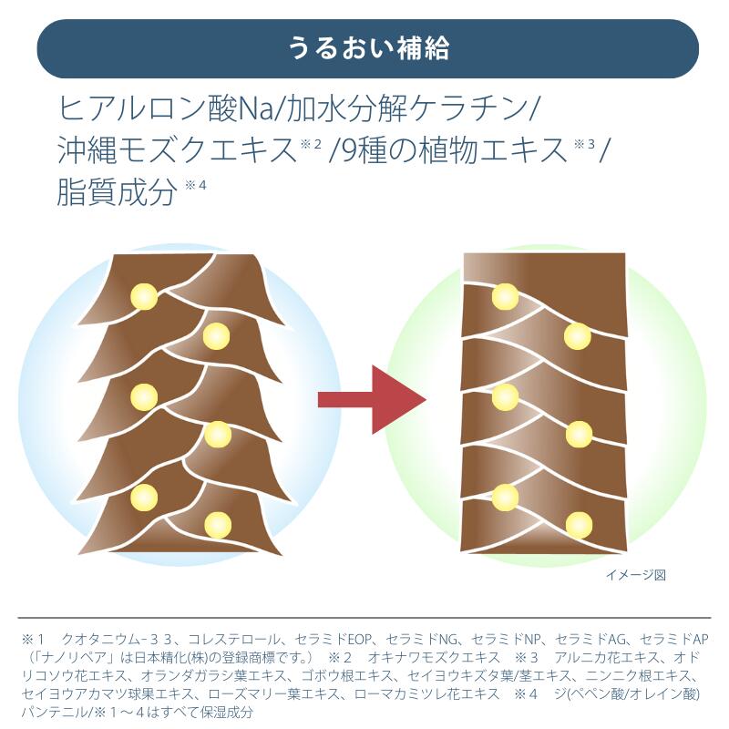 楽天市場】【3/3 20時〜 10％OFF＋最大1000円引クーポン】 光で染まる