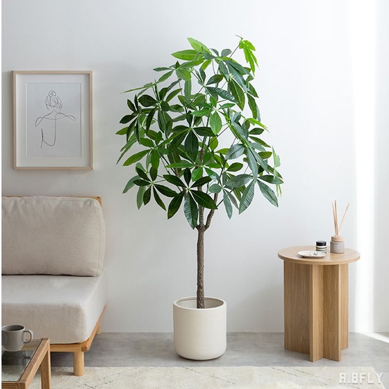 楽天市場】【SS限定｜最大8,000円OFFクーポン】【高さ150cm パキラ