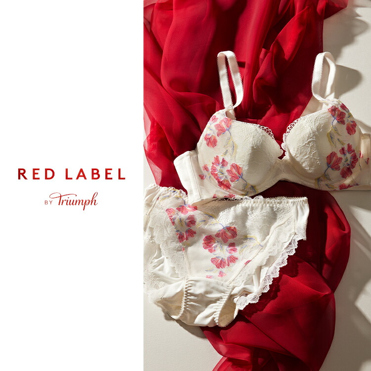 D70M トリンプ プレミアム 脇から寄せてやさしくフィット ブラ＆ショーツ 楽天市場】【楽天限定タイムセール】[トリンプ]すっきりスムースブラ