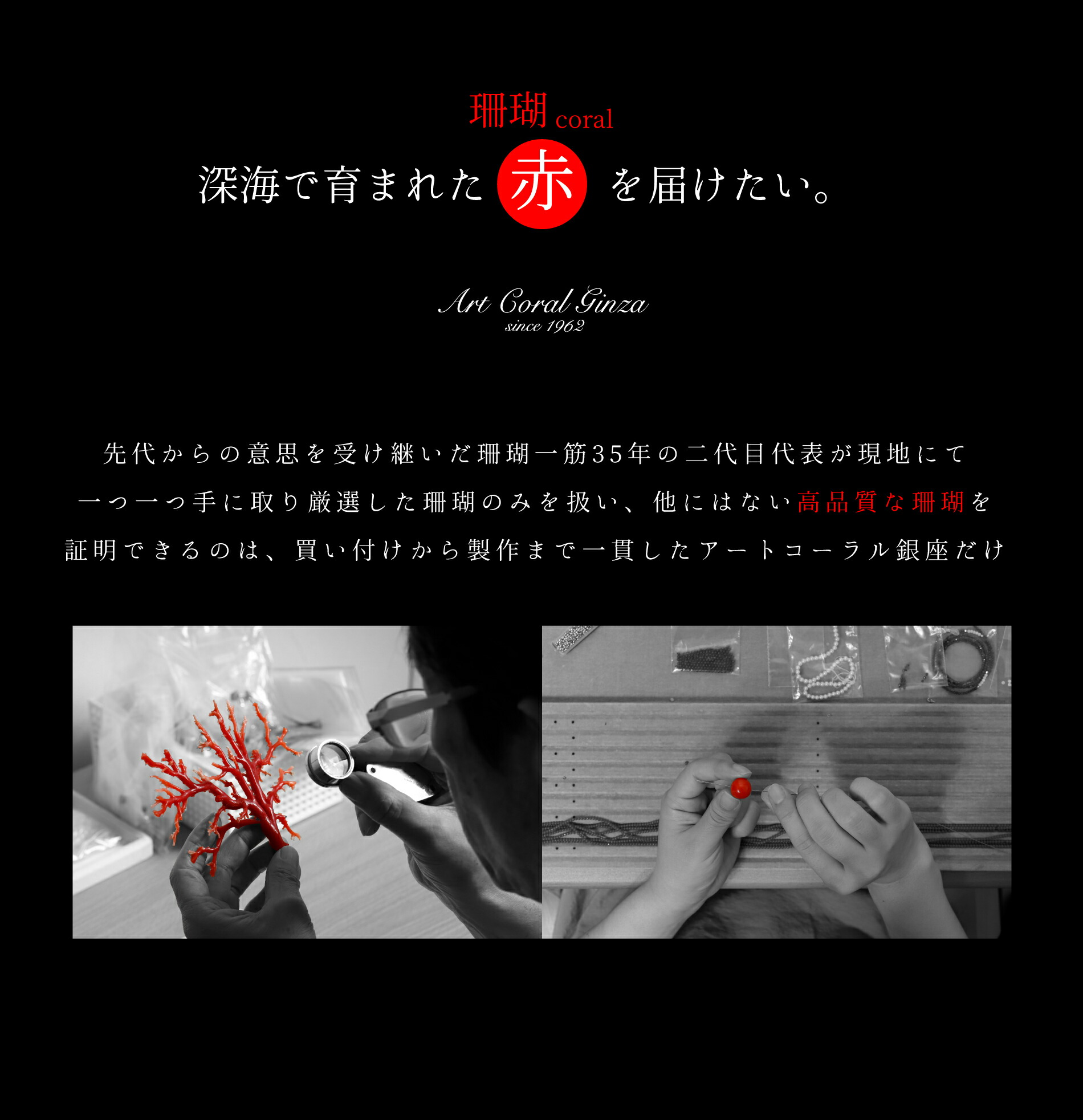 楽天市場】≪1年保証付き≫ 赤珊瑚5.8ミリUP玉付きK18ネックレス 3月