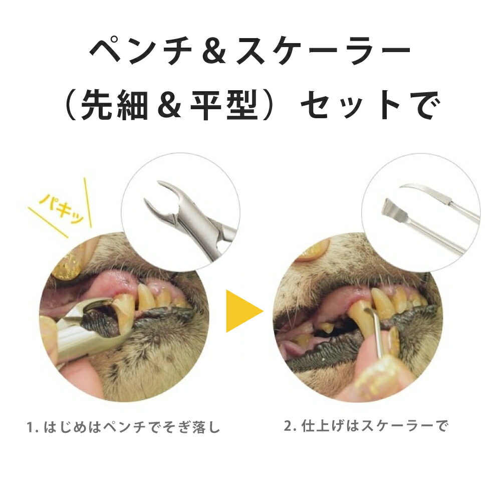 dent-0006-6_02.jpg?1