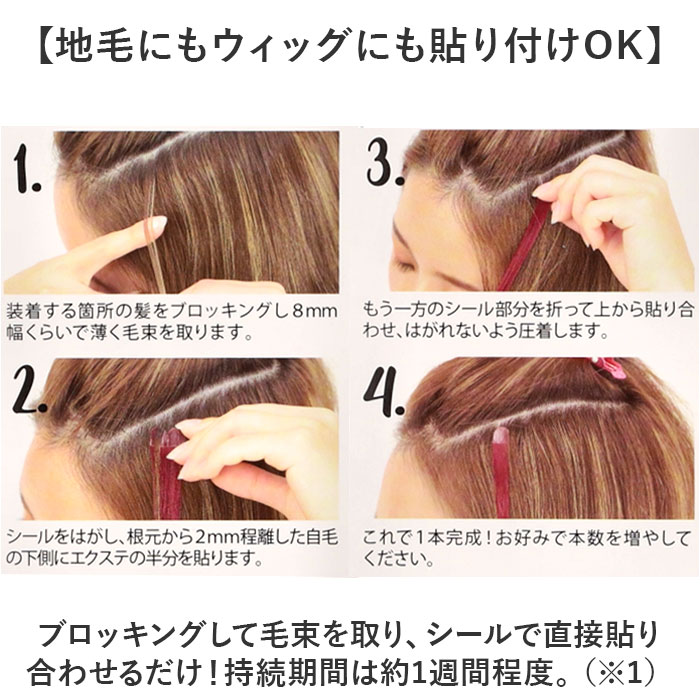 シール エクステ セルフ 通販 シールエクステ プリシラ SX-01 prisila