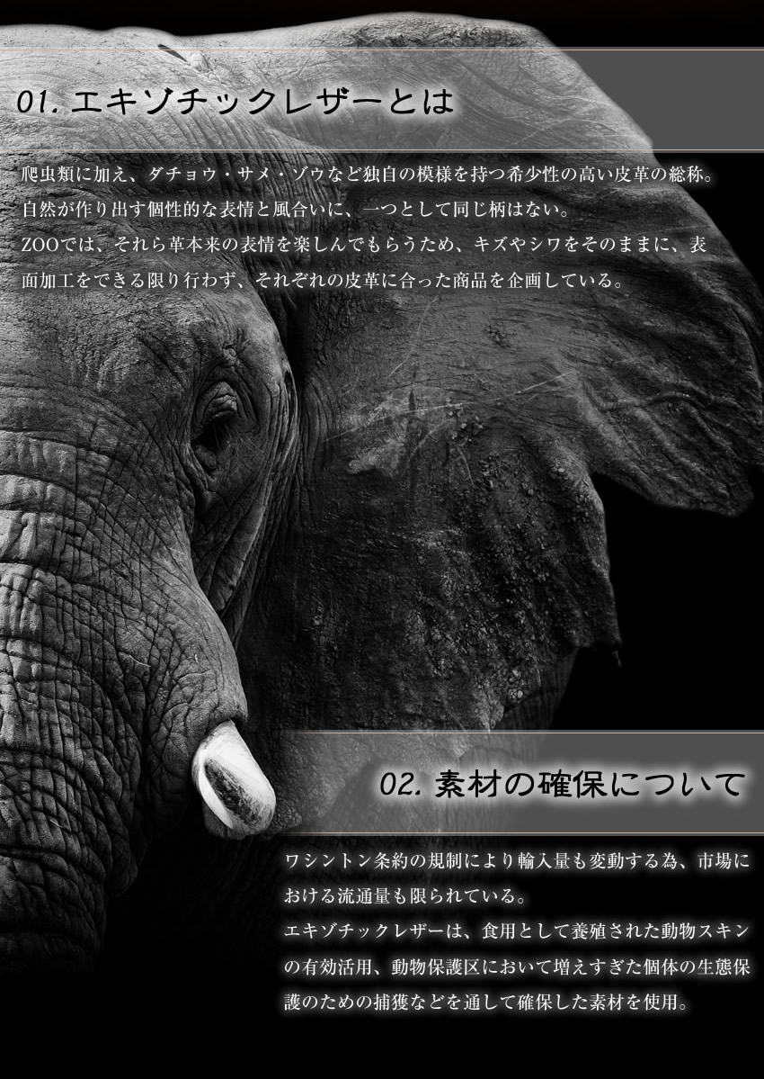 楽天市場】【ZOO限定特典付き】 ZOO 長財布 象革 ラウンドファスナー