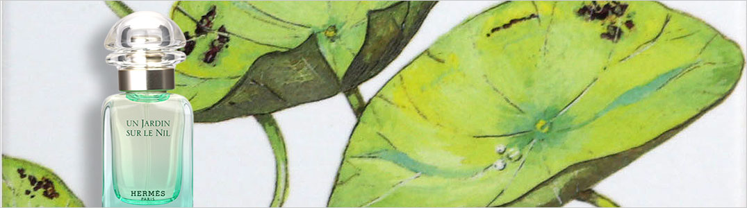 楽天市場】〔期間限定！2点以上で3％OFFクーポン配布中〕エルメス