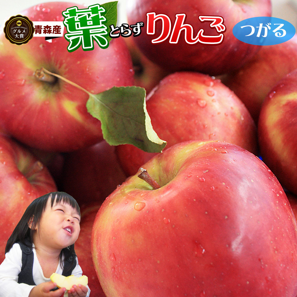 葉っぱの影は甘さのサイン 【葉とらずりんご つがる9kg ファーム】家庭