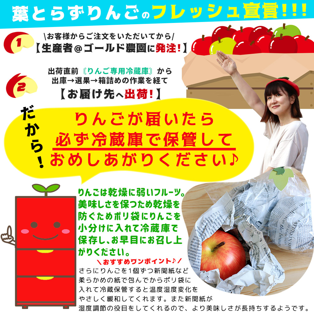 りんご の常識を変える☆葉とらず栽培 本場青森ゴールド農園 送料無料