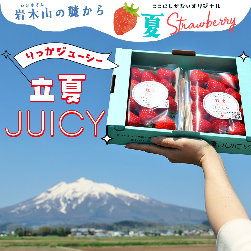 朝採り 完熟 いちご 【青森県産いちご 立夏JUICY 240g以上×2パック