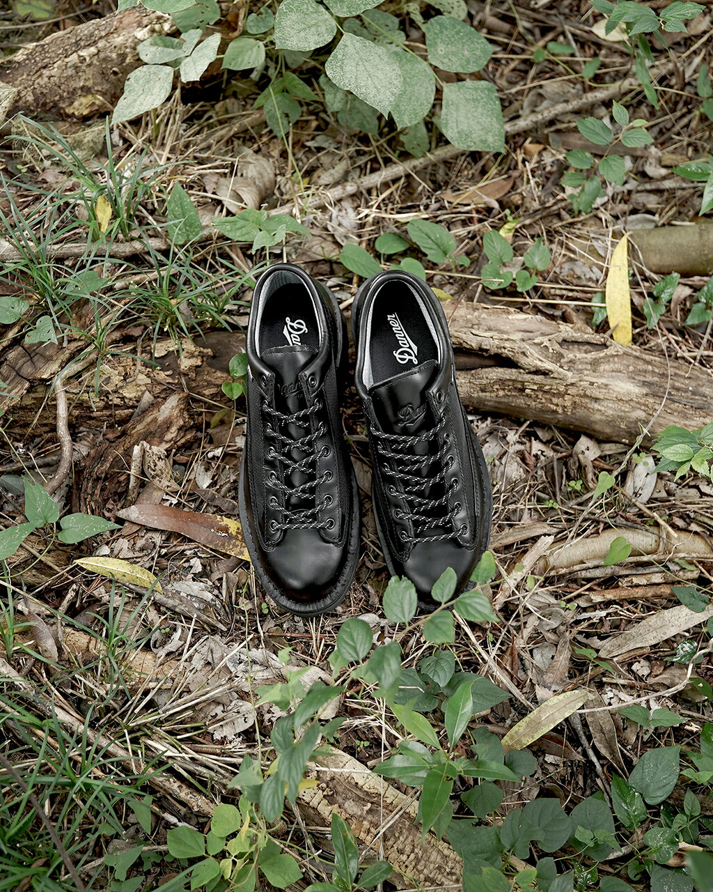 楽天市場】ダナー Danner ダナー フィールド ロー R メンズ DANNER