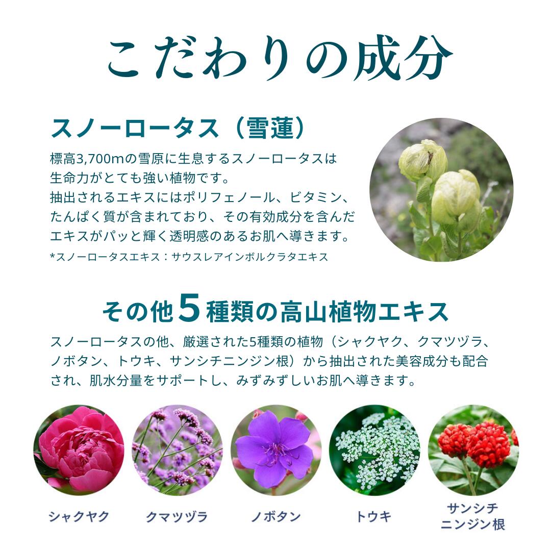 楽天市場】【DR PLANT公式】シートマスク 保湿透明感 紫外線ケア