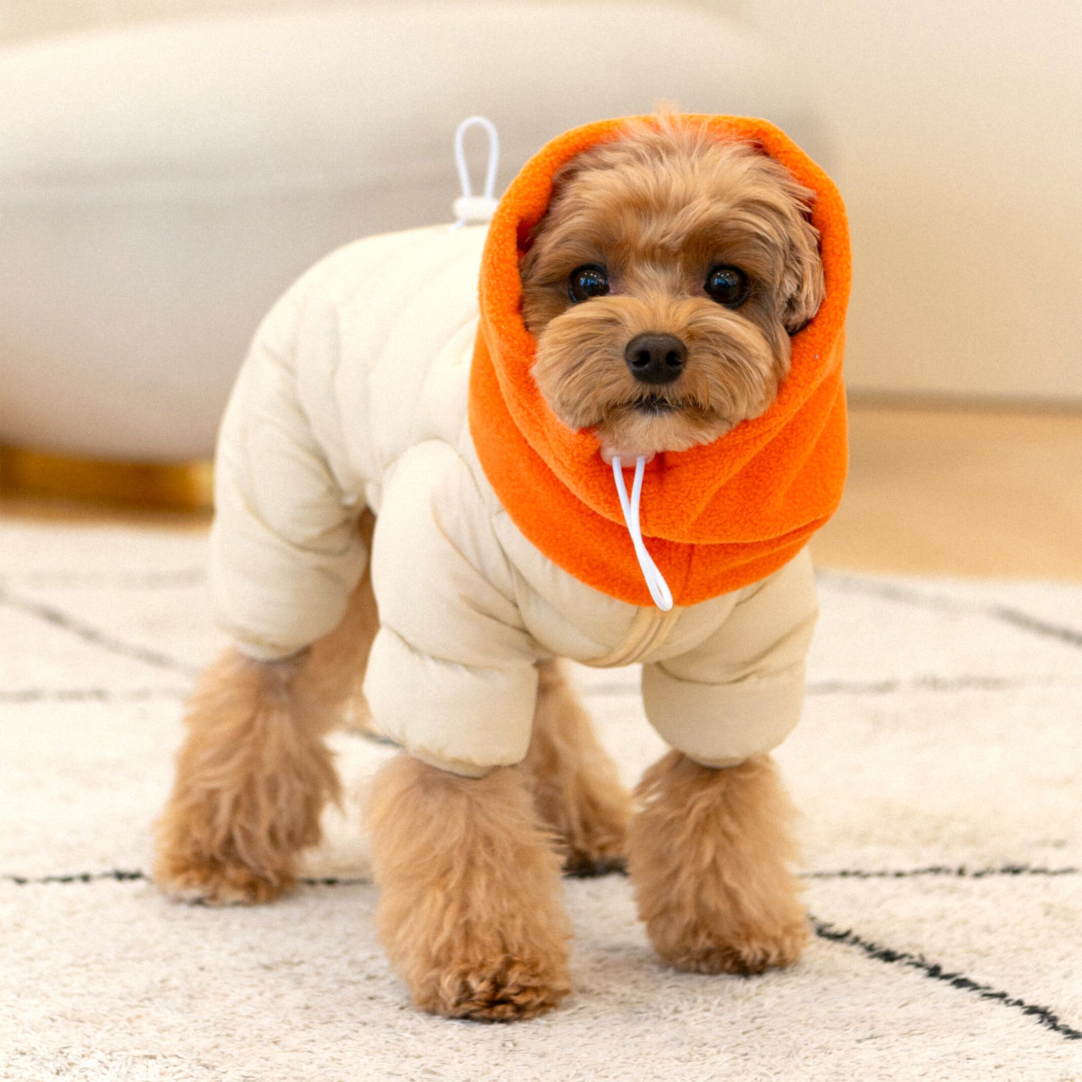 楽天市場】犬 服 スヌード一体型 オールインワン ジャンバー SNOOD