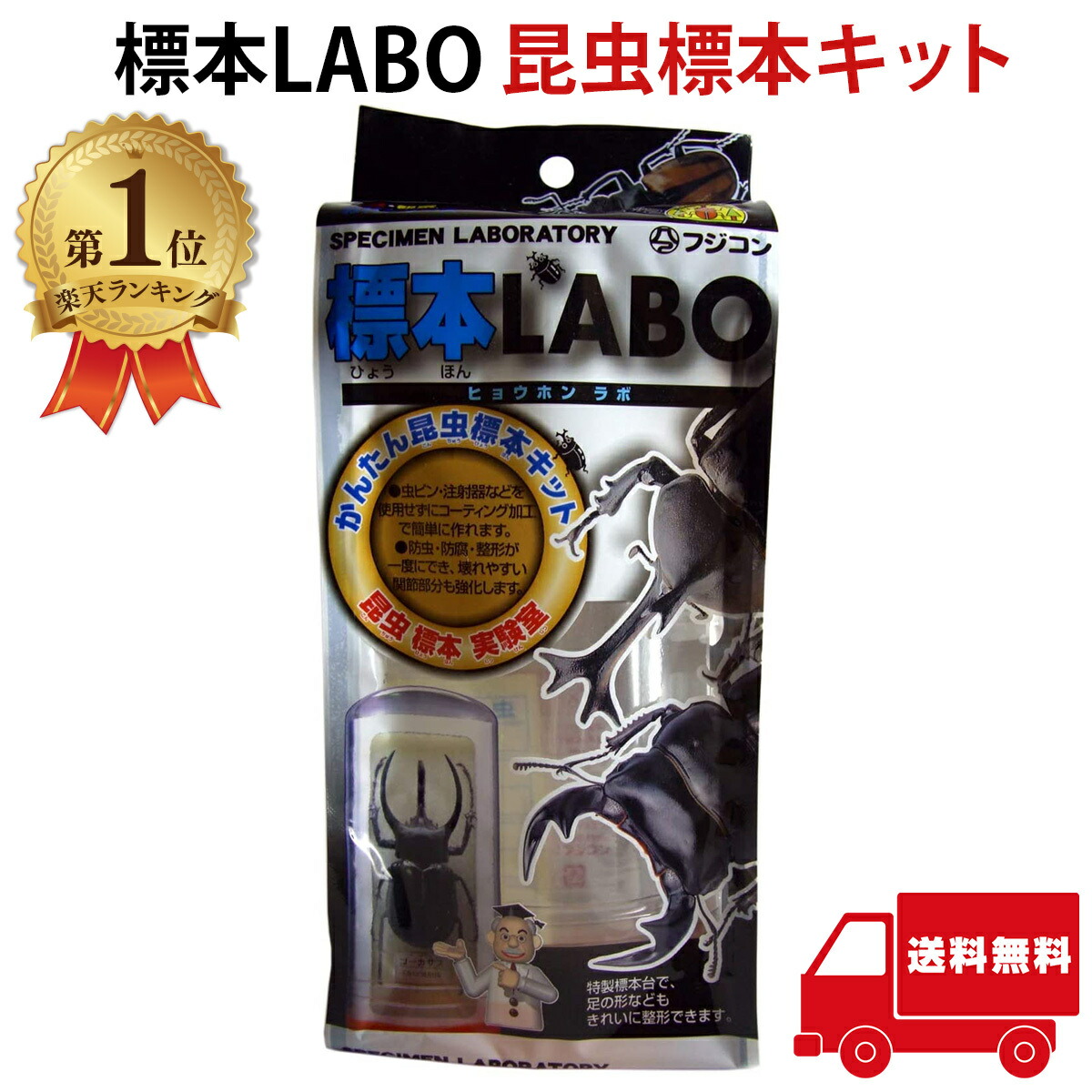 楽天市場】標本LABO 昆虫標本キット フジコン 昆虫標本 標本セット