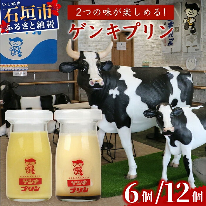 楽天市場】【ふるさと納税】【島外不出のゲンキくん製品が返礼品に