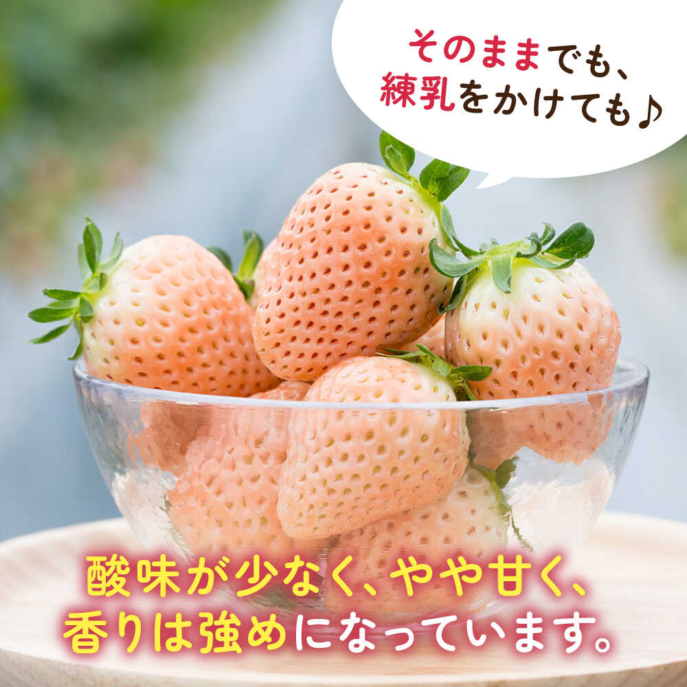 楽天市場】【ふるさと納税】【選べる容量】淡いピンクの白いちご「淡雪