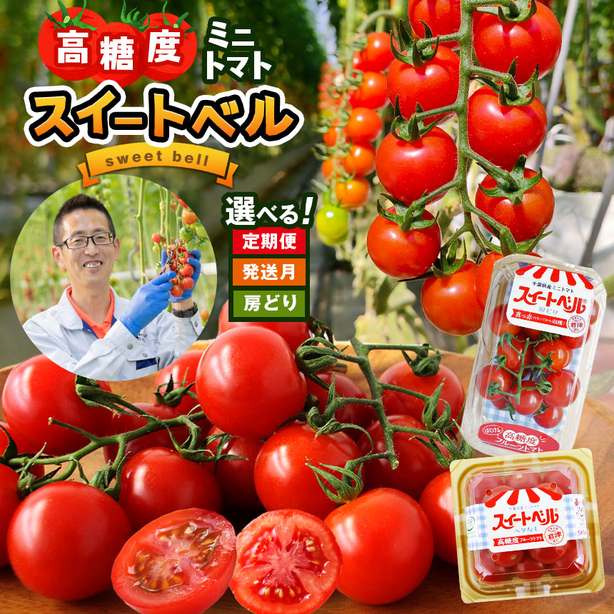 楽天市場】【ふるさと納税】【 選べる 配送月・選べる 回数 】 定期便