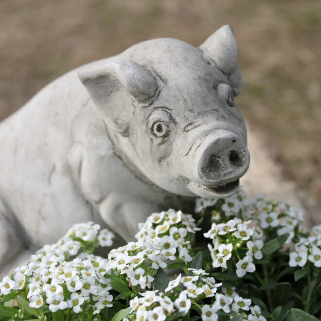 楽天市場】【SS限定☆エントリーで＋P10倍＆MAX15％OFFクーポン