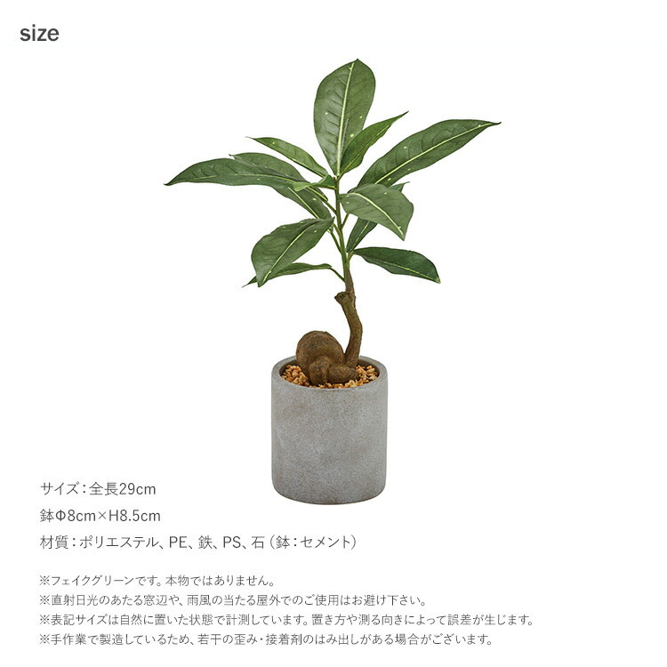 楽天市場】フェイクグリーン ＼ペット割で最大P7／ コーヒーの木