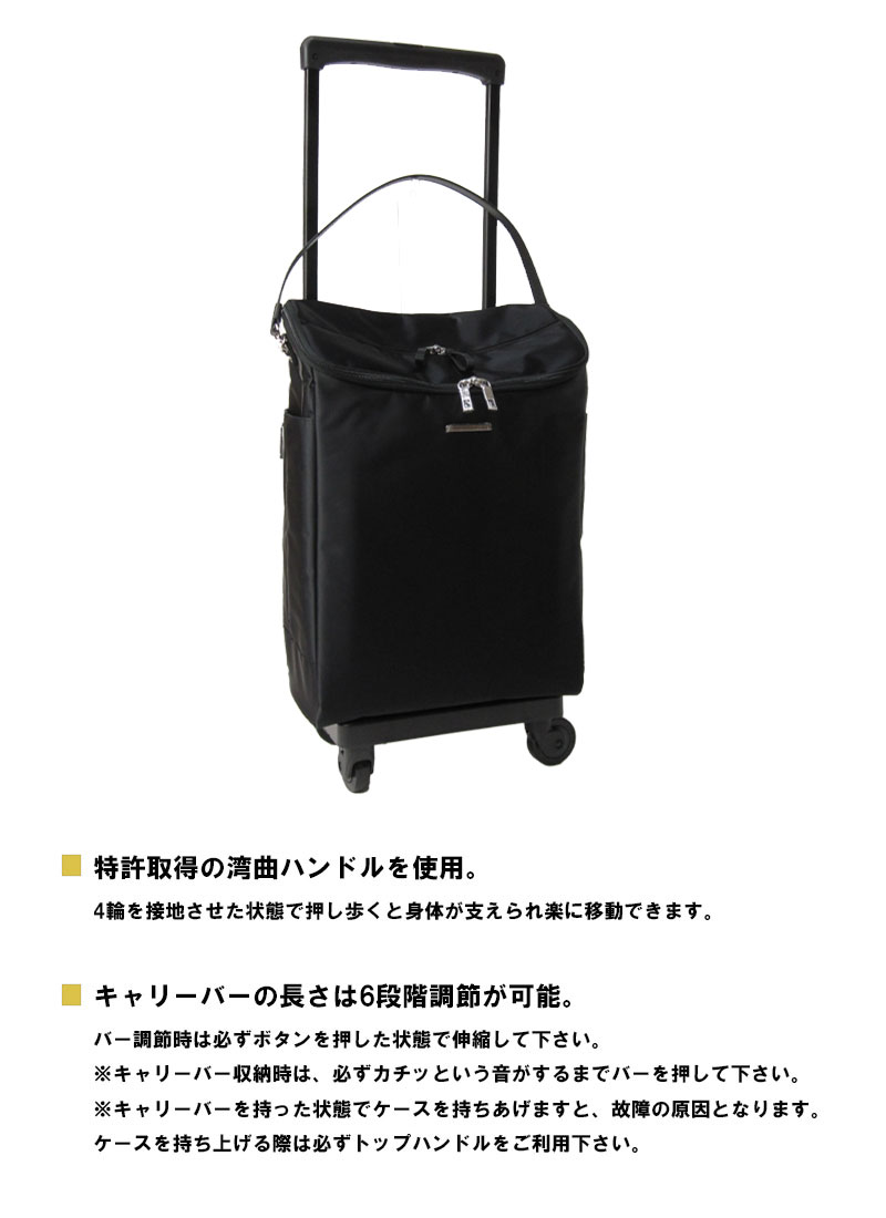 楽天市場】スワニー 正規品 SWANY ソフトキャリーケース 1泊〜2泊 D