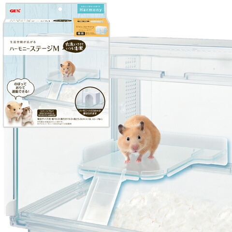 グラスハーモニーマルチ600N/ゴールデンハムスターケージ ハリネズミ