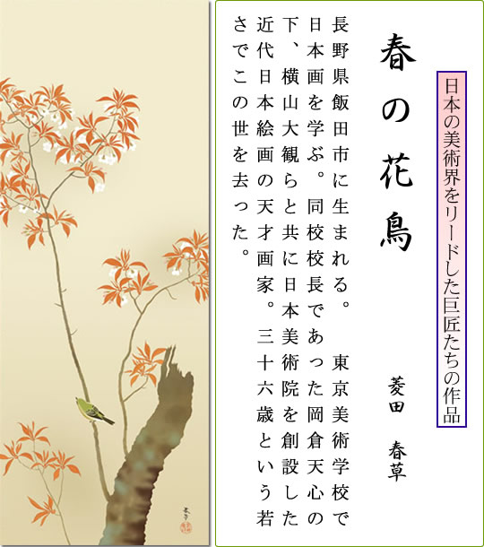 掛け軸-春の花鳥/菱田 春草(尺五) 床の間 和室 お洒落 モダン はるのか
