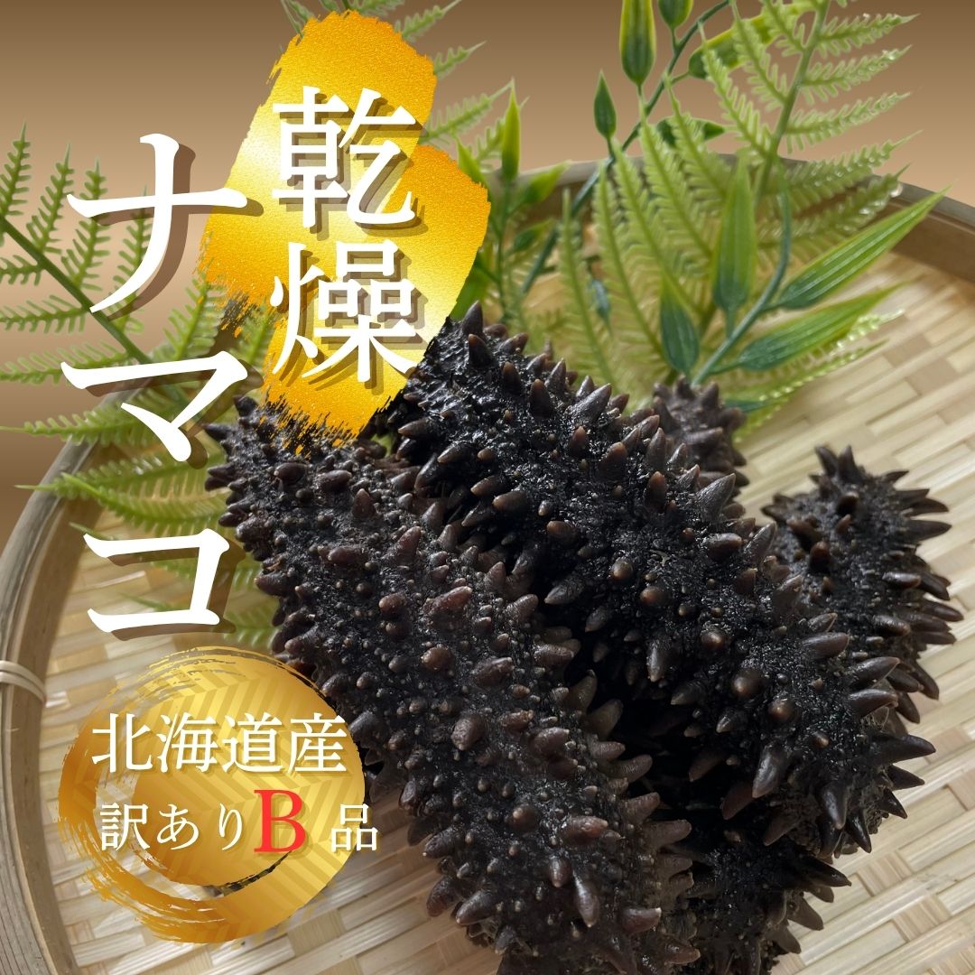 楽天市場】北海道産 乾燥ナマコ【B品】訳あり2Lサイズ 1000g 乾燥海鼠