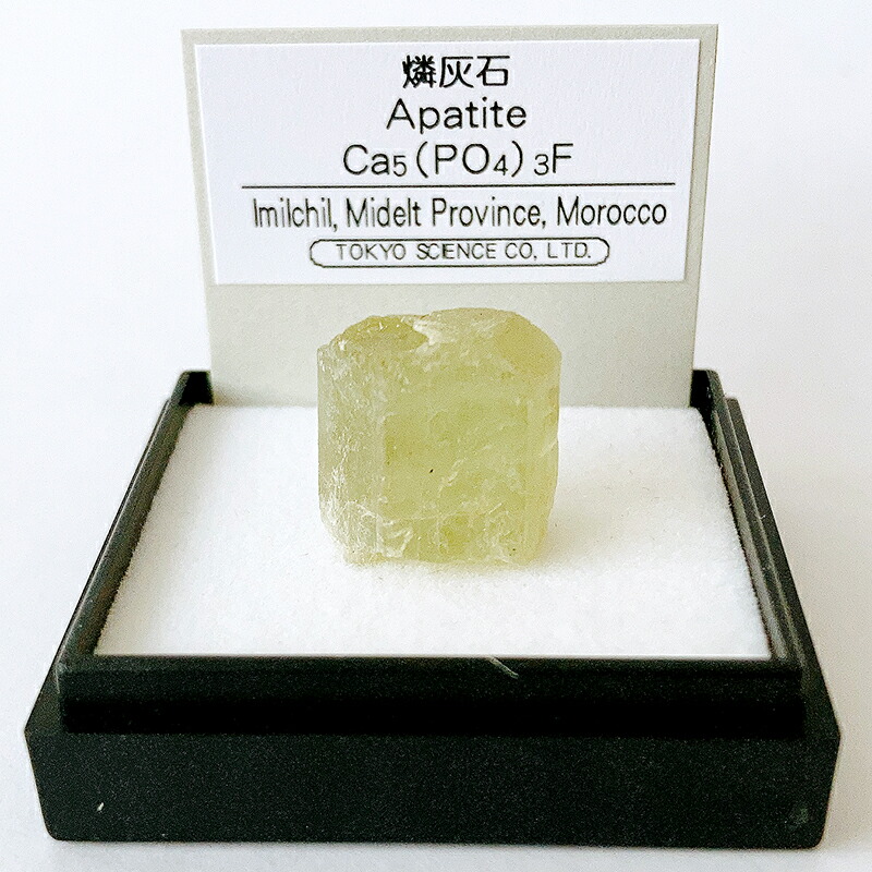 楽天市場】ダイアモンド・キンバーライト（南アフリカ） 鉱物 標本