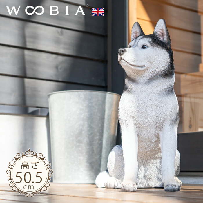 楽天市場】【スーパーセール 最大10%OFF 】ちょこんと座るわんこ