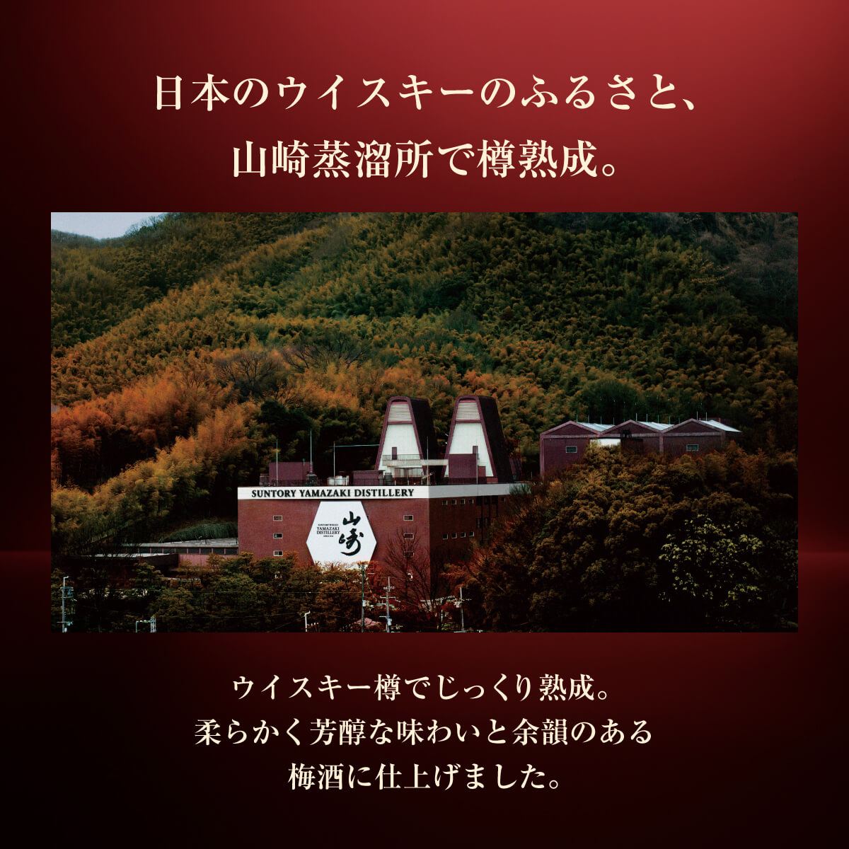 サントリー梅酒 山崎蒸溜所貯蔵梅酒 EXTRA BLEND 2025 Osaka Origin