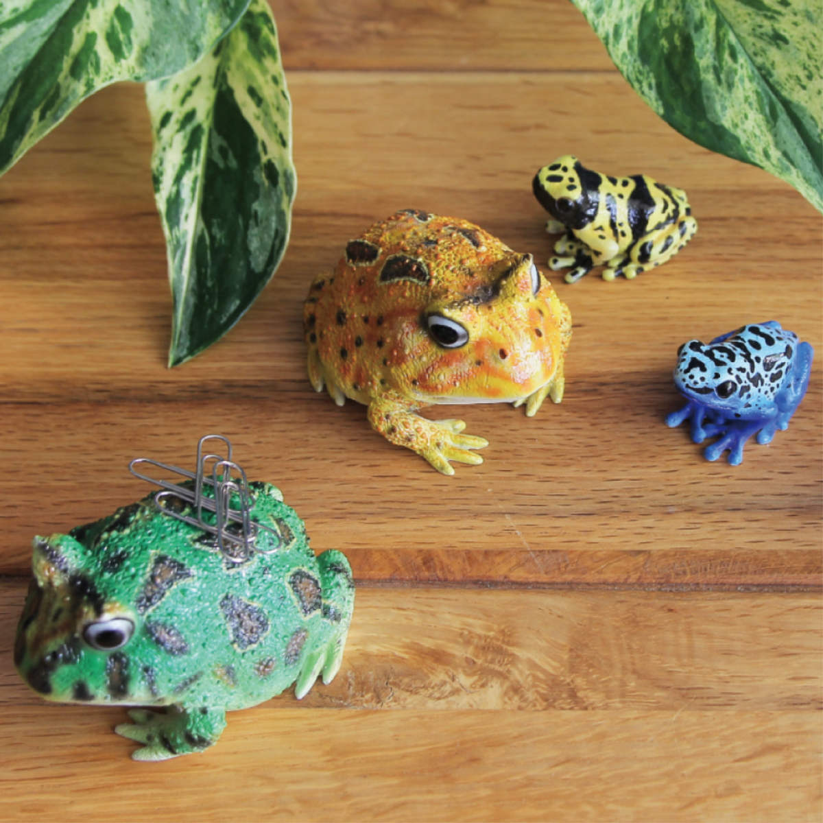 楽天市場】オブジェ REPTILES MAG ヤドクガエル アマガエル