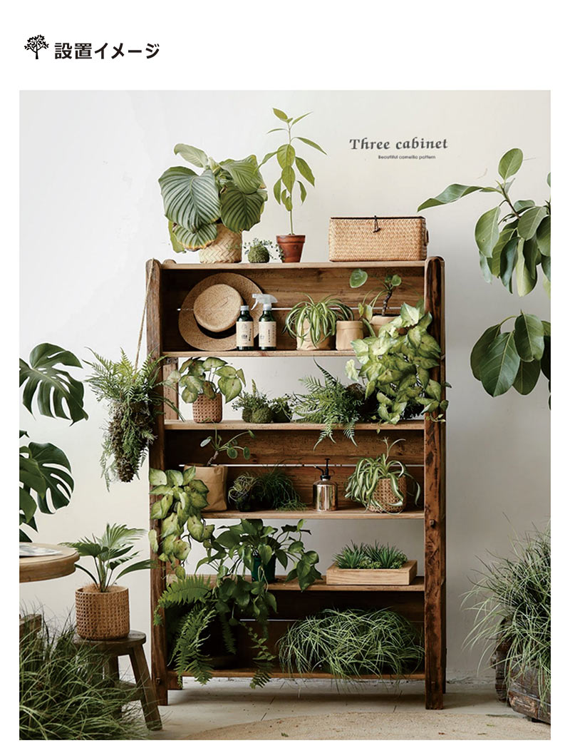 楽天市場】オープンシェルフ ウッドラック 5段 奥行40cm リビング 収納