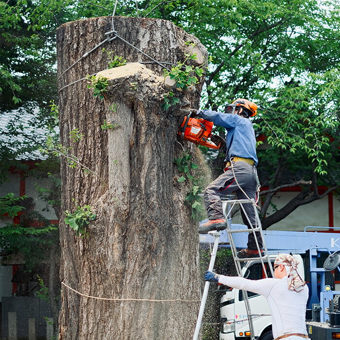 MANAITA 贈るまな板 Mサイズ / WONDERWOOD | 食器と料理道具の専門店
