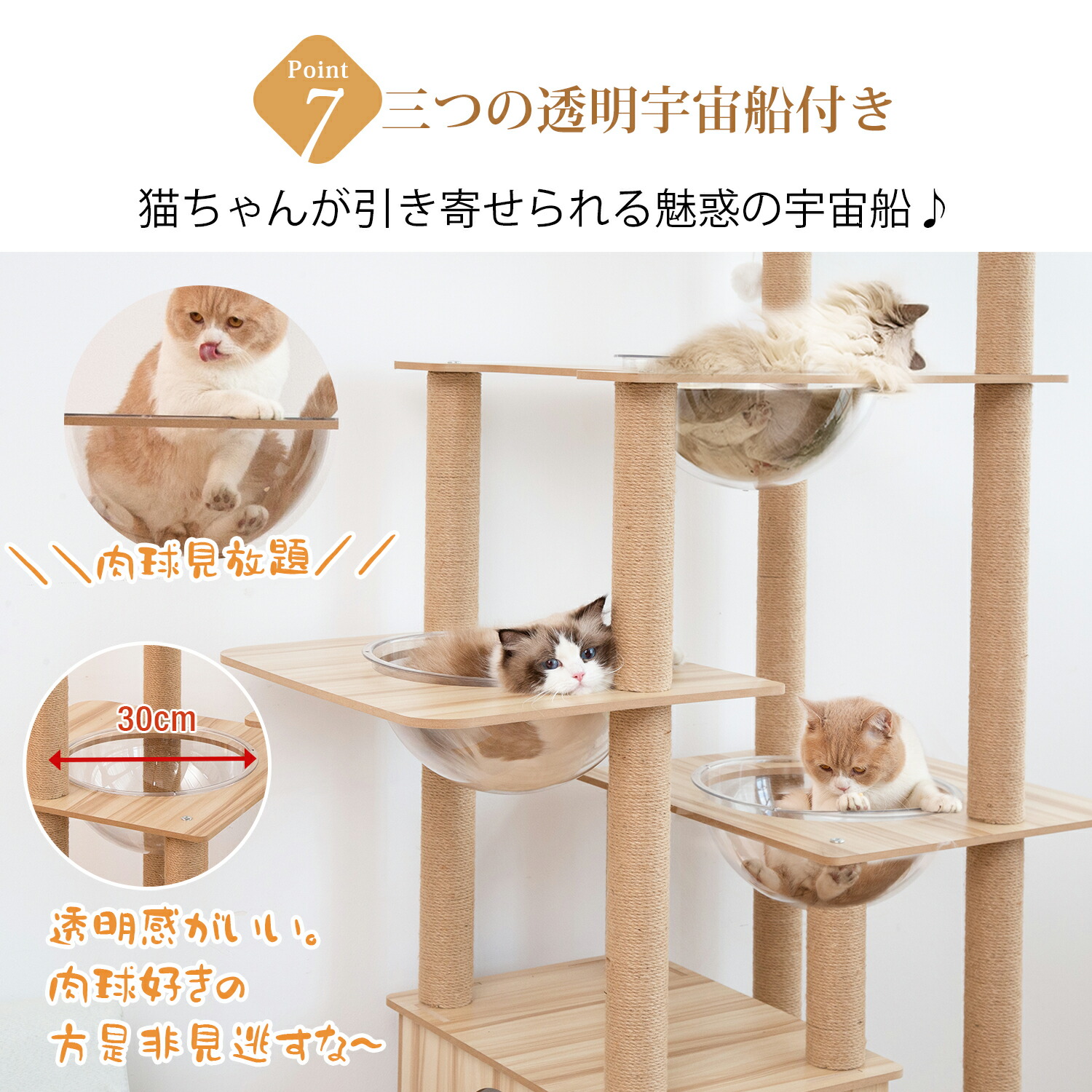 楽天市場】キャットタワー 木製 猫タワー 宇宙船 木製キャットタワー